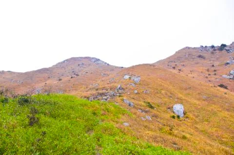 Mountaintop with yellow grass Stock Photos
