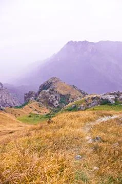 Mountaintop with yellow grass Stock Photos