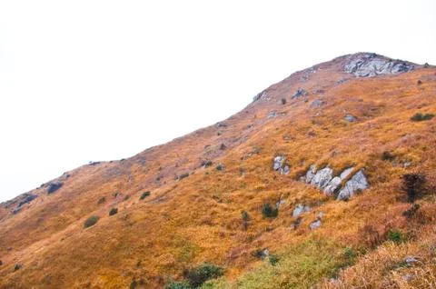 Mountaintop with yellow grass Stock Photos