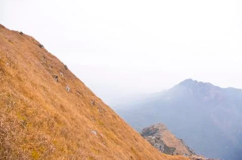 Mountaintop with yellow grass Stock Photos