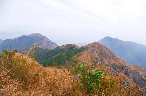 Mountaintop with yellow grass Stock Photos