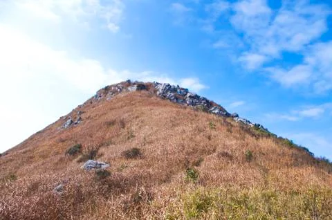 Mountaintop with yellow grass Stock Photos