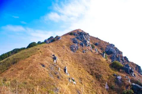 Mountaintop with yellow grass Stock Photos