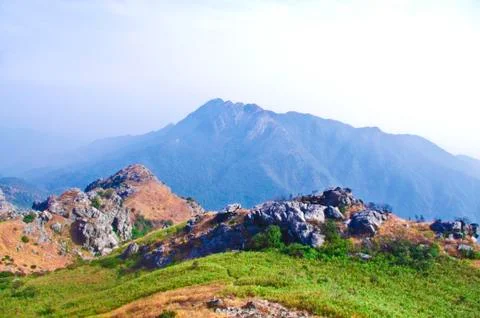 Mountaintop with yellow grass Stock Photos