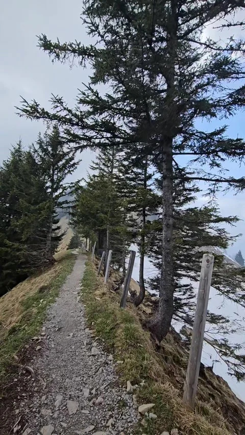 Mountaintrail with snow Stockbeeldmateriaal 319438751