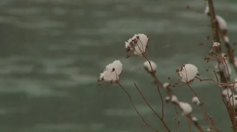 Mountan river in winter 2 Stock Footage 7740119