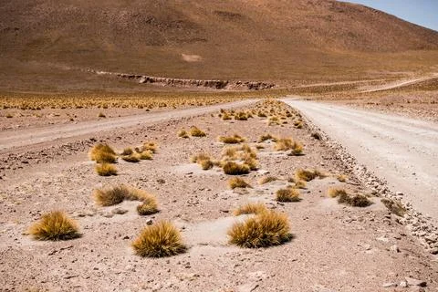 Mountanious Bolivian desert Stock Photos