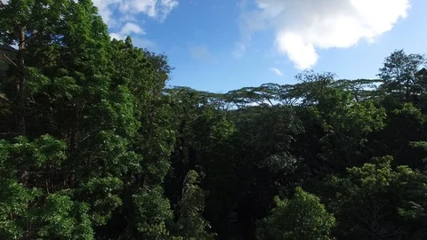 Mountans panorame 2 Video stock 85597451