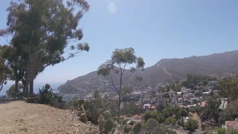 Mountanside 스톡 동영상 219901058