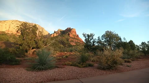 Mountanside w/ Flora Stock Footage 40813854