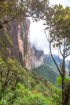 Mounte Roraima Venezuela South America Stock Photos