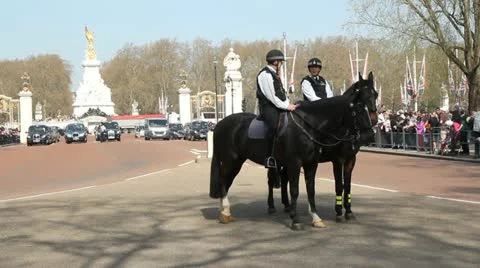 Mounted London police. Stock Footage