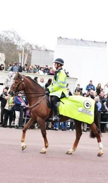 Mounted policeman Foto stock