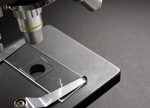Mounted slide on microscope Stock Photos