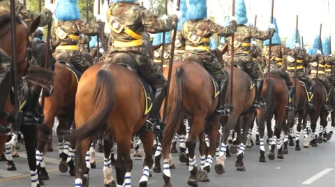 Mounted soldiers in a parade Video stock 59838823