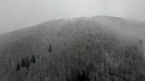 Mounten winter forrest snow flight Video stock 151861817