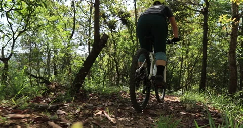 Mountian biking on spring forest trail Stock Footage 177757897