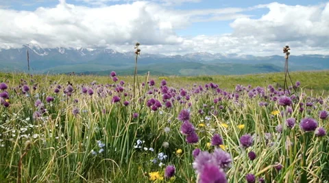 Mountian landscapes Stock Footage 65483850
