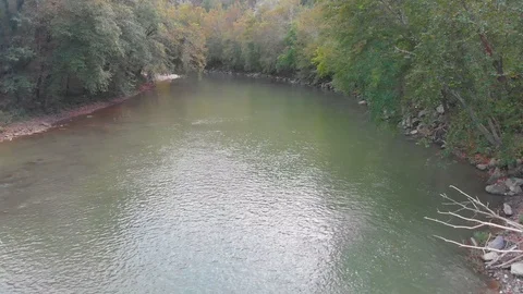 Mountian river and woods Stock Footage 96669732