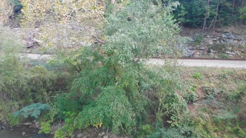 Mountian side train tracks off the river Stock Footage 96669996