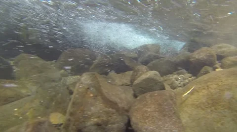 Mountian stream  scenery Stock Footage 46271576