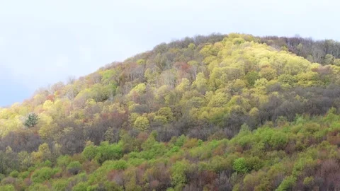 Mounttain spring bloom natural sunlight moving across the landscape Stock Footage 259434531