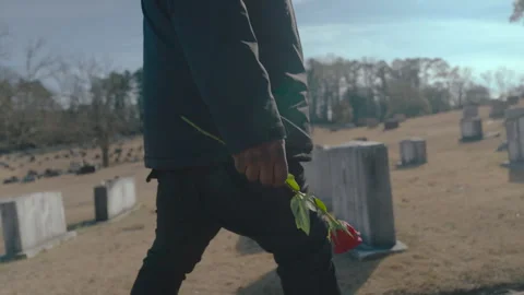 Mourning man holding a single red rose walking among headstones in a graveyard Stock Footage 336288954