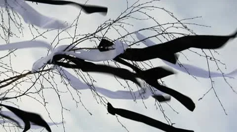 Mourning ribbons Video stock 8987416