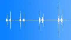 Mourning SierraFinch Song Nr Sound Effect
