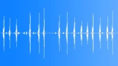 Mourning SierraFinch Song Sound Effect