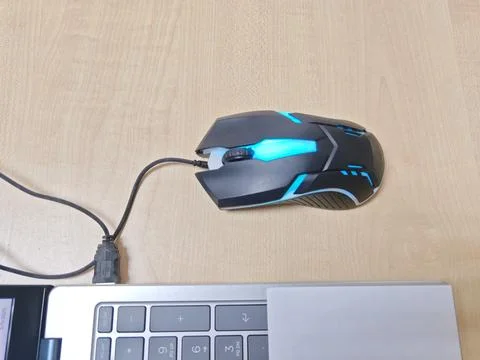 Mouse  (1) Stock Photos