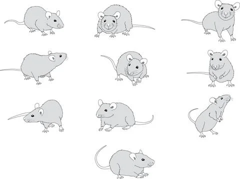 Mouse in 10 different grayscale poses Stock Illustration