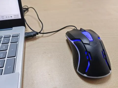 Mouse  (4) Stock Photos