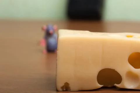 Mouse and cheese Stock-Fotos