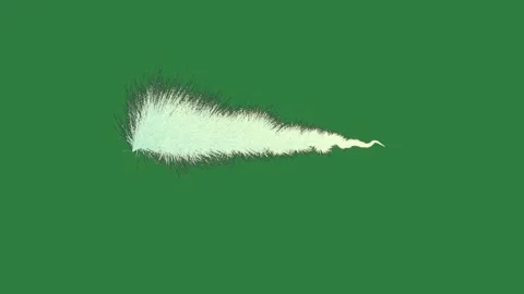 Mouse Animated With Feather Motion Graphic Overlay Stock Footage 338016786