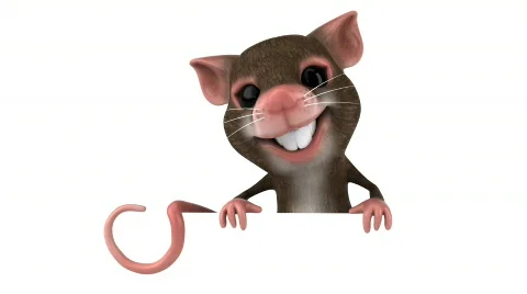 Mouse with a blank sign Stock Footage 665448