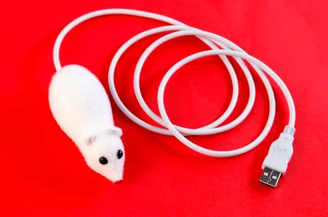Mouse With Cable Stock Photos