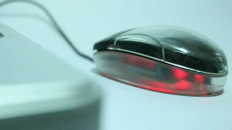Mouse (Computer) Stock-Footage 653174