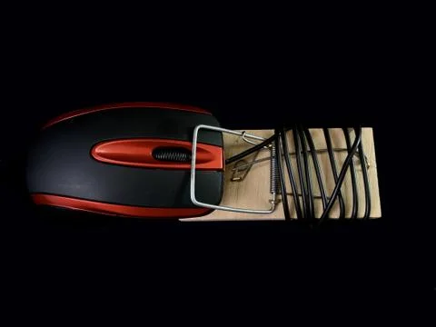 A mouse from a computer in a mousetrap, on a black background. Concept: compu Stock Photos