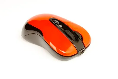 The mouse for a computer Stock Photos