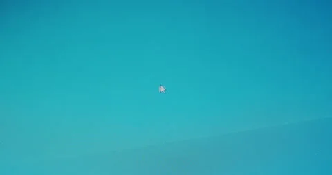 Mouse on computer screen filmed in motion and texture, Stock Footage 146216681