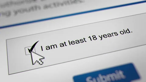 Mouse Cursor Clicking the "I am at Least 18 Years Old" Checkbox Stock Footage 237948142