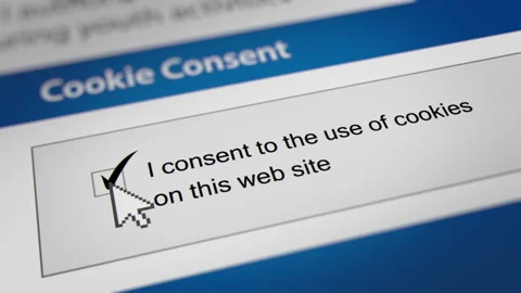 Mouse Cursor Clicking the "I consent to the use of cookies ..." Checkbox Stock Footage 239639441