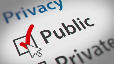 Mouse Cursor Clicking Public and Private Checkbox Stock Footage 155821425