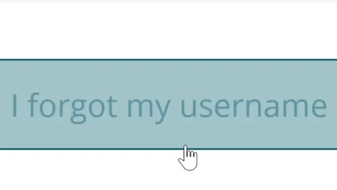 Mouse Cursor Slides Over And Clicks I Forgot My Username Button. Stock Footage 149004112