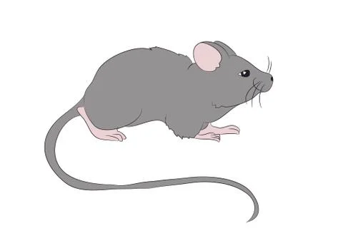 Mouse is drawing color, vector Stock-Illustration
