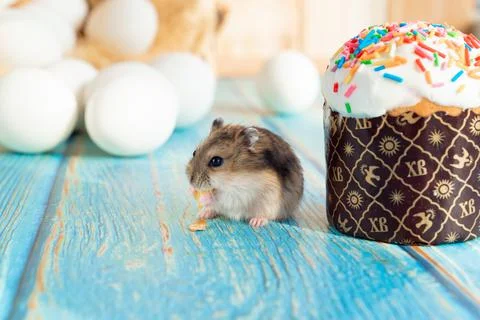 Mouse eats an Easter cake on turquoise wooden table. traditional treat Stock Photos