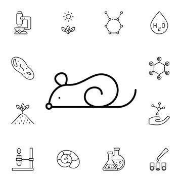 Mouse flat vector icon in biology pack Stock Illustration
