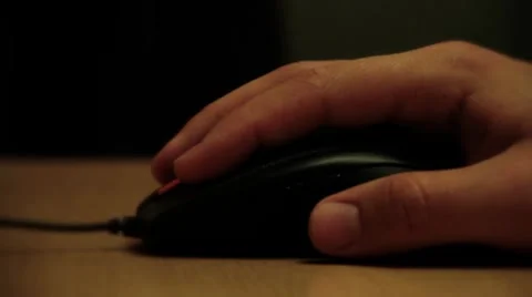 Mouse Stock Footage 8556164