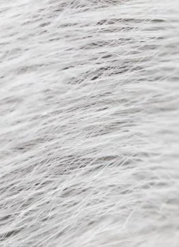 Mouse fur as background Stockfoto's